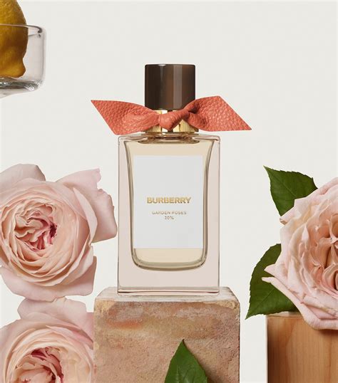 burberry rose note.